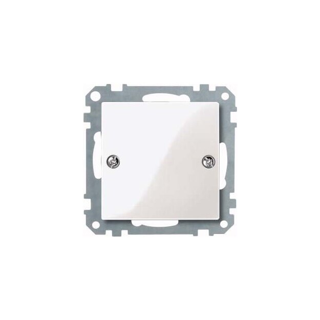 Merten 461819 Blindabdeckung für Sonderanfertigung Kommunikation/EDV Polarweiß glänzend System M