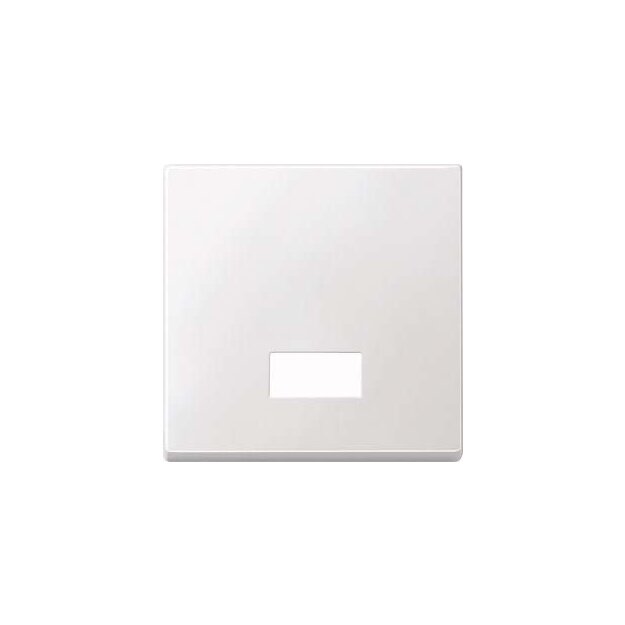 Merten 434819 Wippe mit rechteckigem Symbolfenster Polarweiß System M