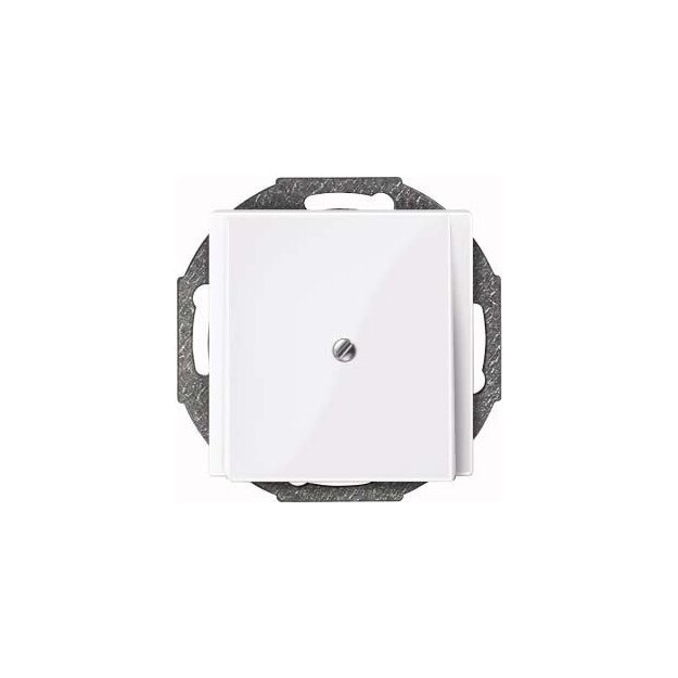 Merten 296325 Zentralplatte Leitungsauslass Aktivweiß glänzend System M