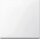 Merten 432125 Wippe Aktivweiß glänzend System M