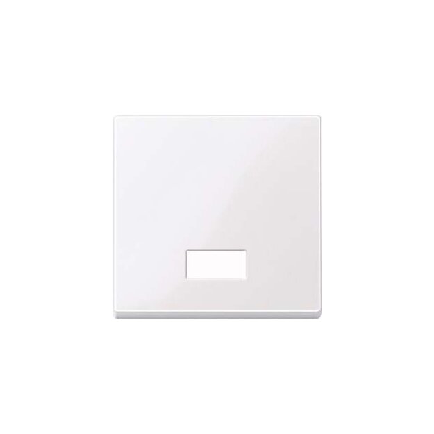 Merten 432825 Wippe mit rechteckigem Symbolfenster Aktivweiß glänzend System M