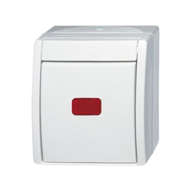 Busch-Jaeger 2601/6 SKW-54 Wippkontrollschalter Aus- und Wechselschaltung (Thermoplast) Alpinweiß ocean® (IP 44) Aufputz 2CKA001085A1622
