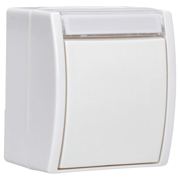 Busch-Jaeger 2601/6 WN-54 Wippschalter Aus- und Wechselschaltung (Thermoplast) Alpinweiß ocean® (IP 44) Aufputz 2CKA001085A1624