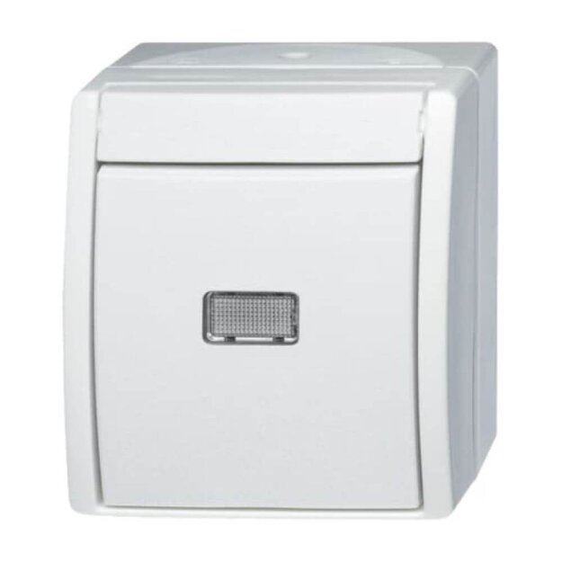 Busch-Jaeger 2601/6 WGL-54 Wippschalter Aus- und Wechselschaltung (Thermoplast) Alpinweiß ocean® (IP 44) Aufputz 2CKA001085A1626