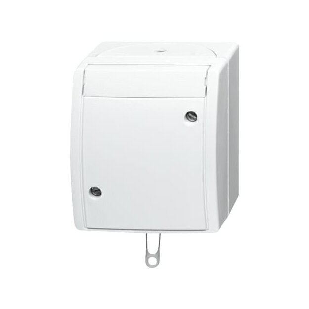 Busch-Jaeger 2610/6 W-54 Zugschalter Aus- und Wechselschaltung (Thermoplast) Alpinweiß ocean® (IP 44) Aufputz 2CKA001383A0143