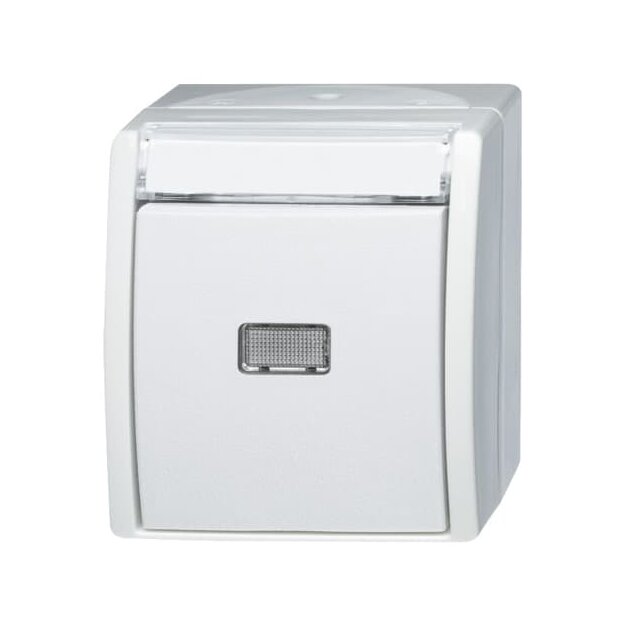 Busch-Jaeger 2621 WN-54-201 Wipptaster Schließer (Thermoplast) Alpinweiß ocean® (IP 44) Aufputz 2CKA001484A0378