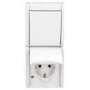 Busch-Jaeger 2601/6/20 EW-54 Kombination SCHUKO®...