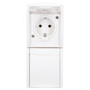 Busch-Jaeger 20-02 EW-54 SCHUKO® Steckdose 2-fach...