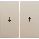 Berker 16258982 Wippe 2-fach mit Aufdruck Symbol Pfeil...