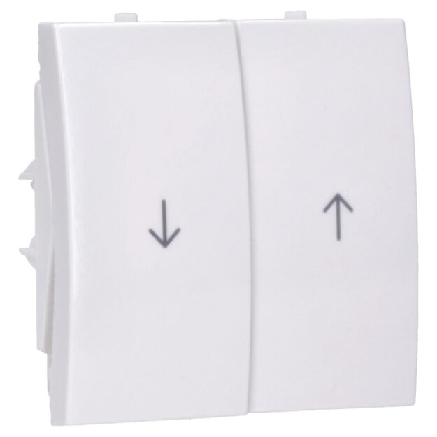 Berker 16258989 Wippe 2-fach mit Aufdruck Symbol Pfeil S.1/B.3/B.7 Polarweiß glänzend