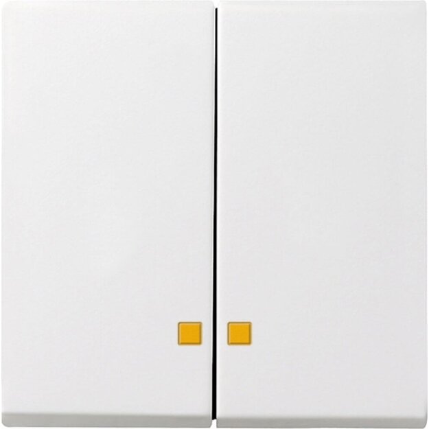 Gira 063103 Wippe 2-fach Kontrollfunktion System 55 Reinweiß