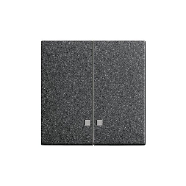 Gira 063128 Wippe 2-fach Kontrollfunktion System 55 Anthrazit