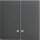 Gira 063128 Wippe 2-fach Kontrollfunktion System 55 Anthrazit