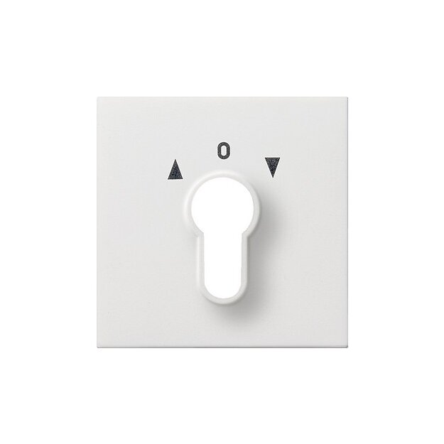 Gira 0664112 Abdeckung Schlüsselschalter/-taster Flächenschalter Reinweiß