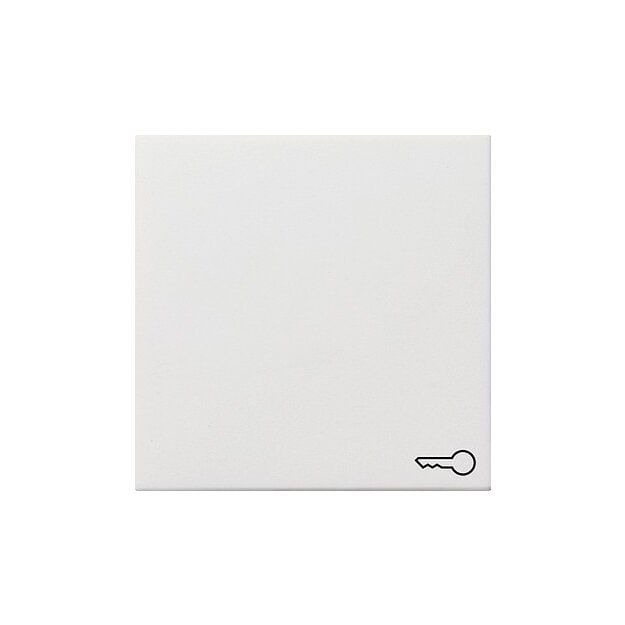 Gira 0287112 Wippe Symbol Tür Flächenschalter Reinweiß