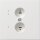 Gira Stereo-Steckdose rws/gl 0402112 (1er)