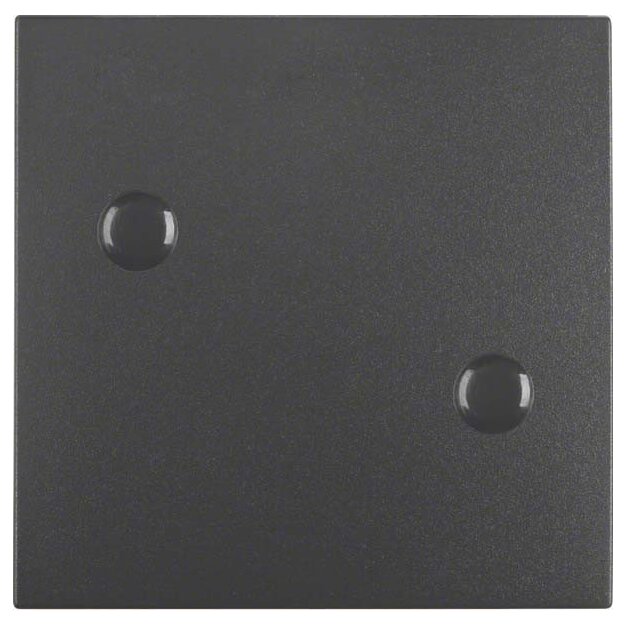 Berker 15701606 Wippe anschraubbar S.1/B.3/B.7 Anthrazit matt