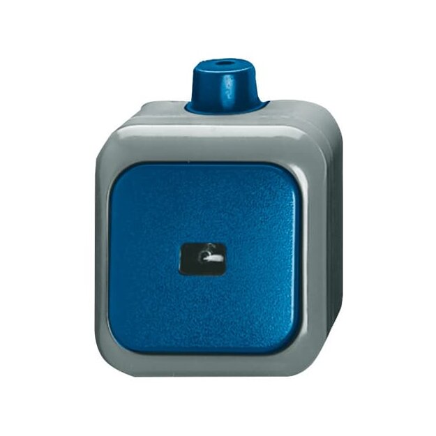 Busch-Jaeger 2621 WDI Wipptaster 1-polig, Schließer (Arbeitsstrom) (Thermoplast) Blau Busch-Duro 2000® WDI(IP 66) 2CKA001483A0171