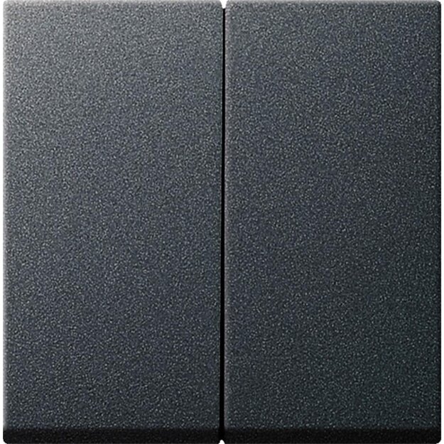 Gira 029528 Wippe 2-fach System 55 Anthrazit