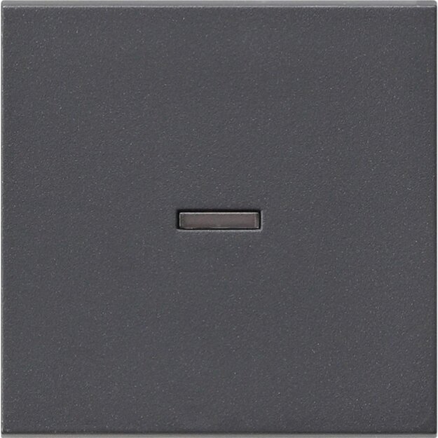 Gira 029028 Wippe Kontrollfunktion System 55 Anthrazit