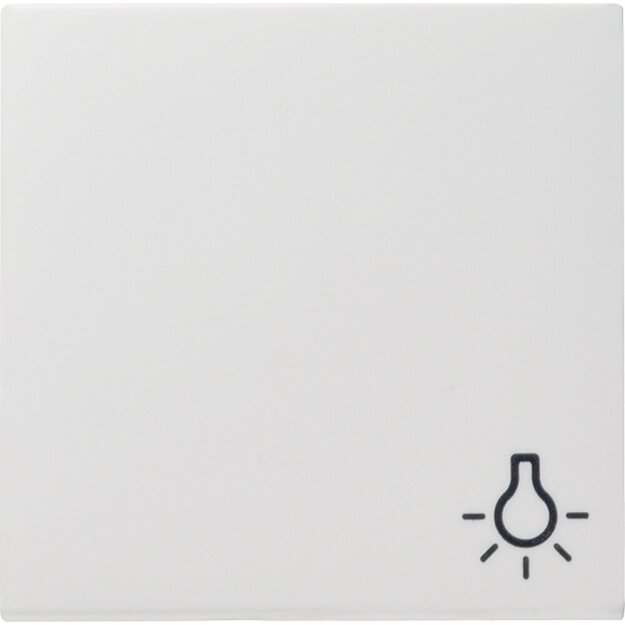 Gira 028527 Wippe Symbol Licht System 55 Reinweiß matt
