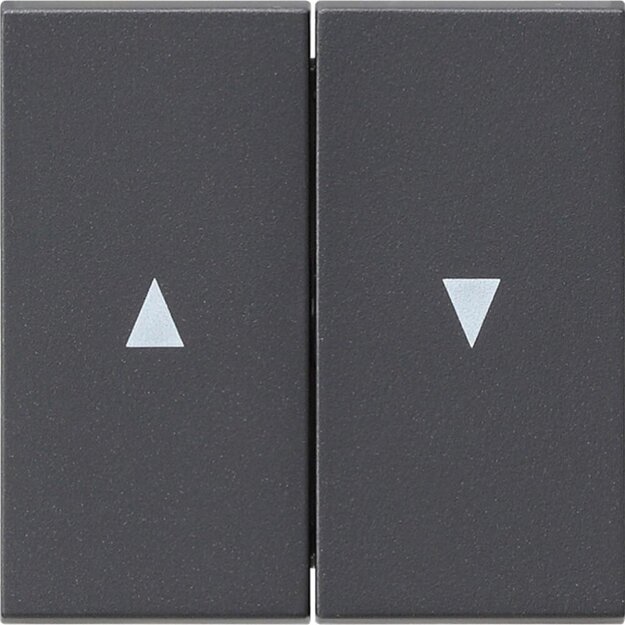 Gira 029428 Wippe 2-fach Pfeilsymbol System 55 Anthrazit