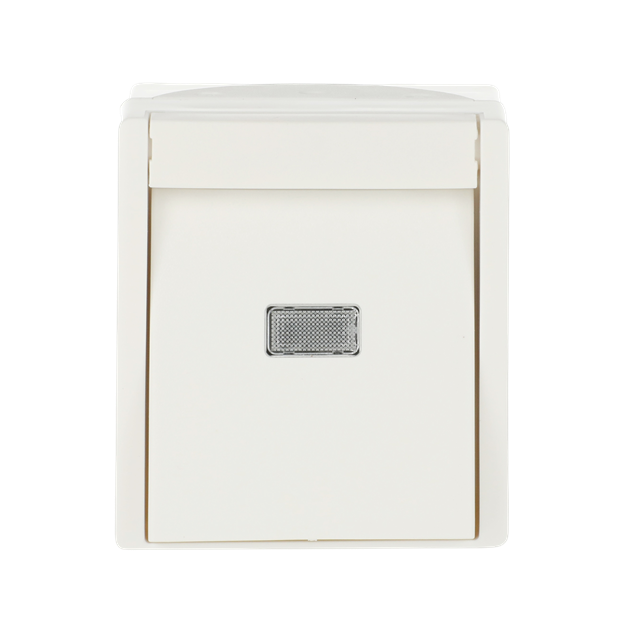 Busch-Jaeger 2621 WGL-54 Wipptaster Schließer (Thermoplast) Alpinweiß ocean (IP 44) Aufputz 2CKA001484A0381