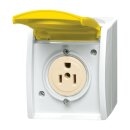 Busch-Jaeger 3015 EWN-54 Busch-Nema-Steckdose mit gelbem...