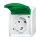 Busch-Jaeger 20 EWN-13-54 SCHUKO® Steckdose mit grünem Klappdeckel (Thermoplast) Alpinweiß ocean® (IP 44) Aufputz Steckdose 2CKA002083A0837