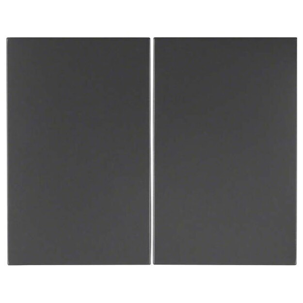 Berker 14357006 Wippe 2-fach K.1 Anthrazit matt