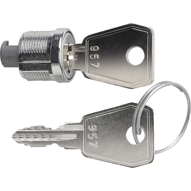 Gira 144400 Schloss + 2 Schlüssel Gira TX_44