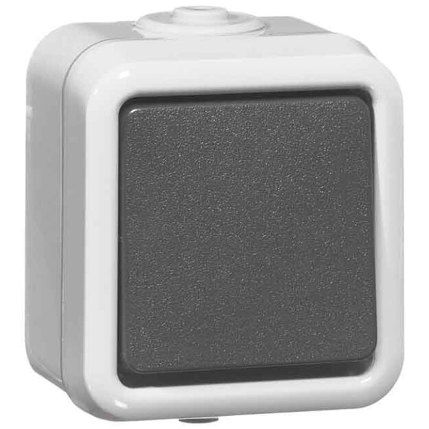 Peha 00300511 Serienschalter Grau