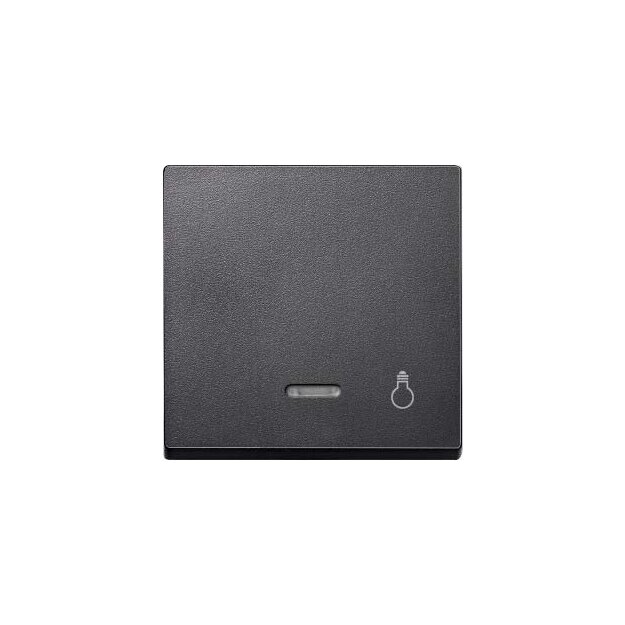 Merten 430914 Wippe mit Kontrollfenster und Aufdruck Licht Anthrazit System M