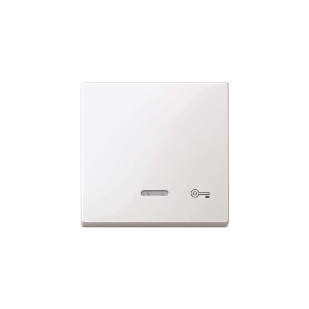 Merten 435319 Wippe mit Kontrollfenster und Aufdruck Schlüssel Polarweiß glänzend System M