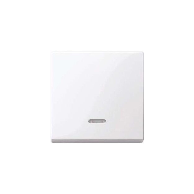 Merten 436025 Wippe mit Kontrollfenster Aktivweiß glänzend System M