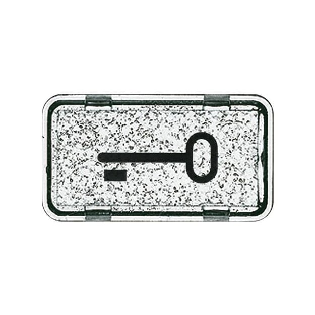 Busch-Jaeger 2622 TR-101 Tastersymbol Schlüssel Glasklar Allwetter 44® (IP 44) 2CKA001714A0286