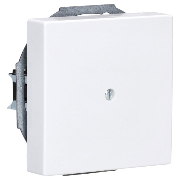 Busch-Jaeger 1749-84 Zentralscheibe mit Tragring (Thermoplast) Studioweiß carat® 2CKA001710A3163