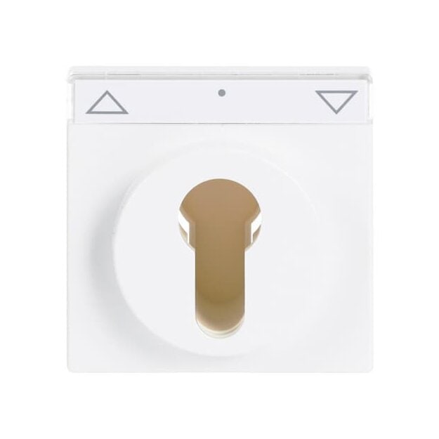 Busch-Jaeger 1755 SL/PZ-84-101 Zentralscheibe mit Beschriftungsfeld (Thermoplast) Studioweiß carat® 2CKA001710A3175