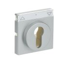 Busch-Jaeger 1755 SL/PZ-83-101 Zentralscheibe mit Beschriftungsfeld (Kunststoff (lackiert)) Alusilber future® linear 2CKA001710A3662