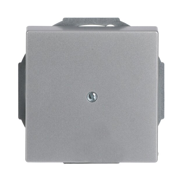Busch-Jaeger 1749-83 Zentralscheibe mit Tragring (Kunststoff (lackiert)) Alusilber future® linear 2CKA001710A3665