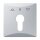 Busch-Jaeger 2155 PZ-33 Zentralscheibe mit Aufdruck (Thermoplast) Alusilber Allwetter 44® (IP 44) 2CKA001710A3804
