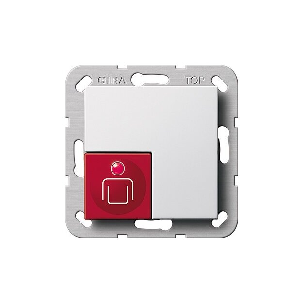 Gira 290003 Ruftaster System 55 Reinweiß
