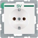 Berker 47436039 Steckdose SCHUKO mit Aufdruck Q.1/Q.3...