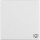 Berker 16206049 Wippe mit Aufdruck Symbol Licht Q.1/Q.3 Polarweiß samt