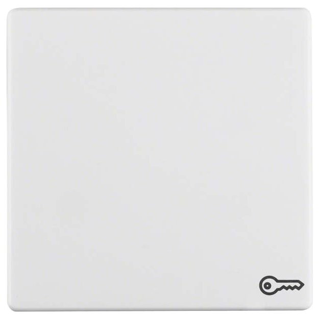 Berker 16206069 Wippe mit Aufdruck Symbol Tür Q.1/Q.3 Polarweiß samt