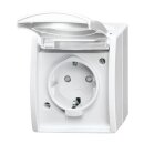 Busch-Jaeger 20 EBW-54 SCHUKO® Steckdose mit erh....