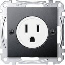 Merten MEG2151-0414 USA-Steckdosen-Einsatz 15 A Anthrazit...