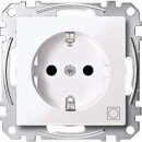 Merten MEG2351-0325 SCHUKO-Steckdose mit Kennzeichnung...