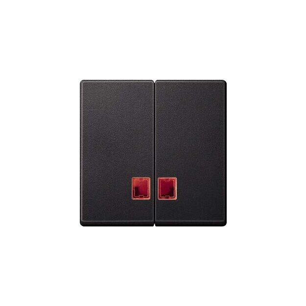 Merten MEG3456-0414 Doppelwippe mit Rotem Symbolfenster Anthrazit System M
