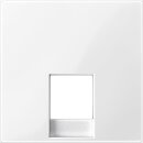 Merten MEG4211-0319 Zentralplatte für...